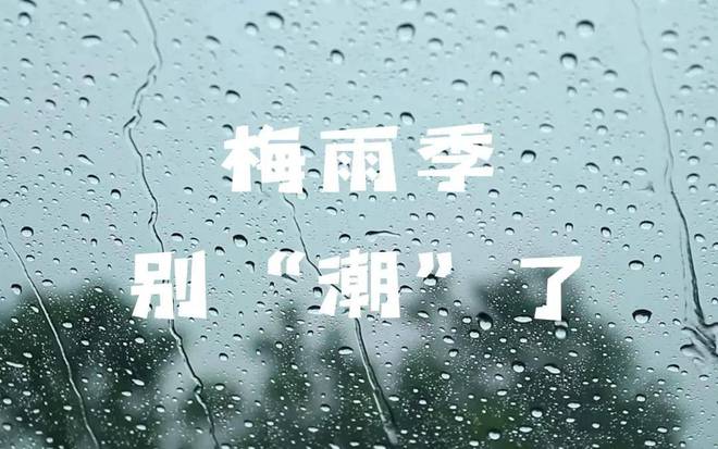 丨今日“入梅”：茶叶这样放才不会“发霉”！AG真人九游会登录网址2024年上海茶博会(图1)