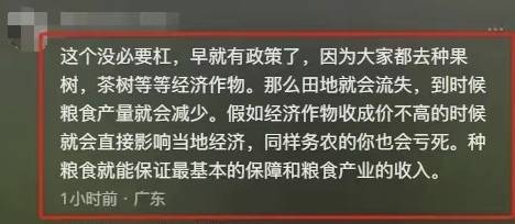 茶叶被阻拦？镇政府回应后我选择支持AG真人游戏风波又起！广西农户种植(图3)