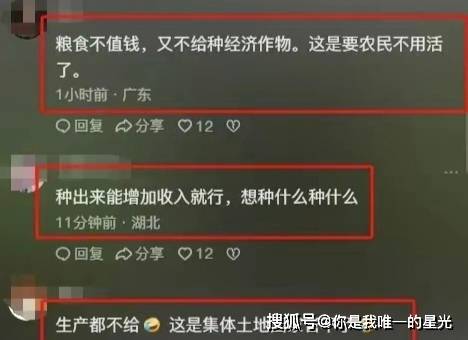 茶叶被阻拦？镇政府回应后我选择支持AG真人游戏风波又起！广西农户种植(图6)